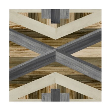 Trademark Fine Art June Erica Vess 'Geometric Inlay Iii' Canvas Art, 24x24 WAG11891-C2424GG